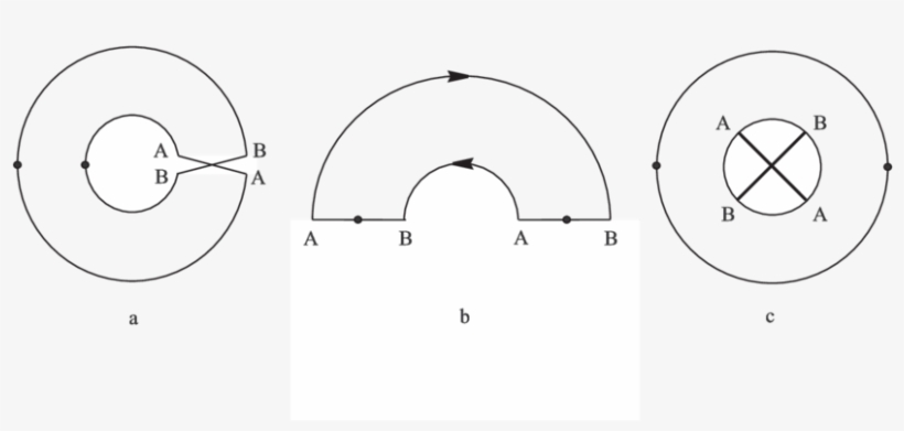 Three Descriptions Of The Möbius Strip, transparent png #7319670