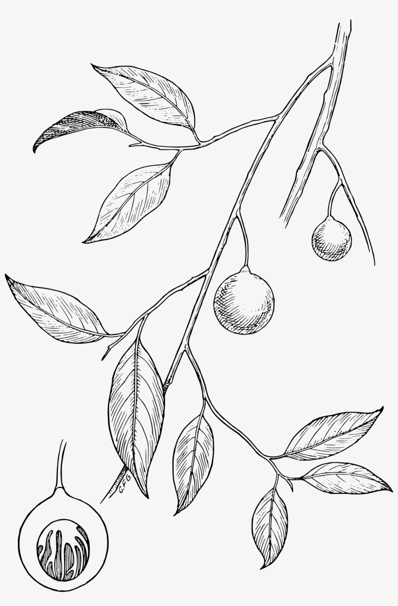 Open, transparent png #7321141