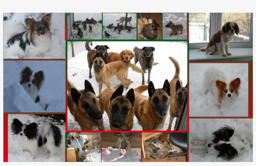 22 Pm 45317 Captain Oreo 6/16/2012, transparent png #7321238