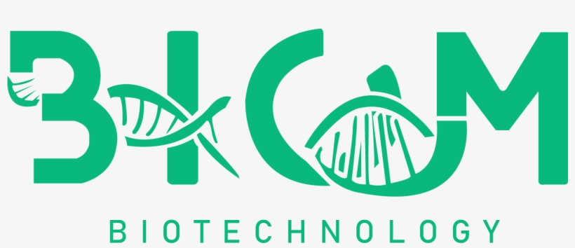 Logo Creative Branding Designer Vector Logo Album Artwork, transparent png #7323824