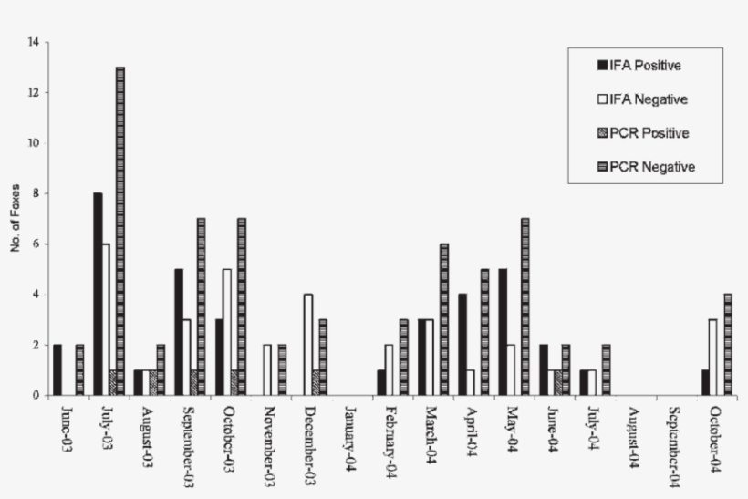 Antibody Test And Polymerase Chain Reaction Detections, transparent png #7326306