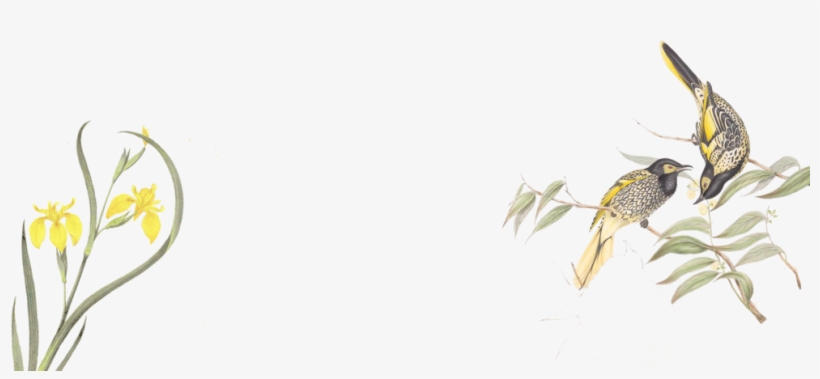 Spring4, transparent png #7326419