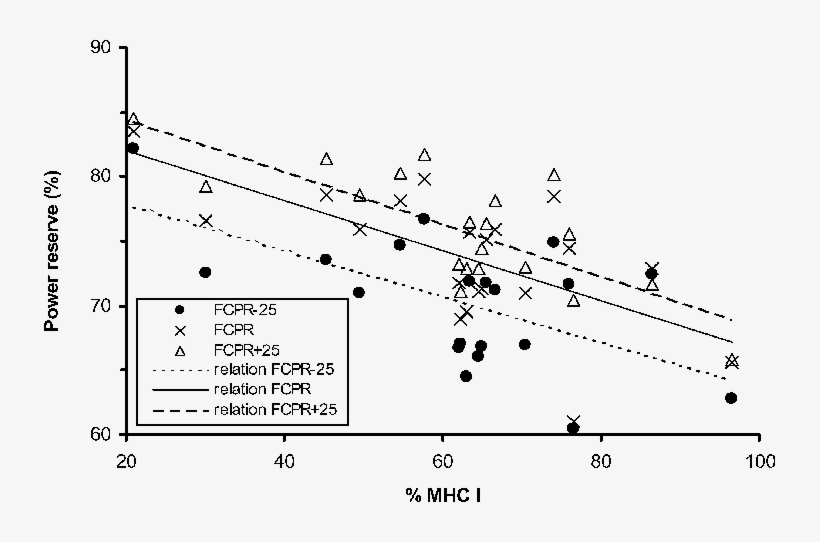 Relationship Between The Percentage Of Slow Twitch, transparent png #7326979