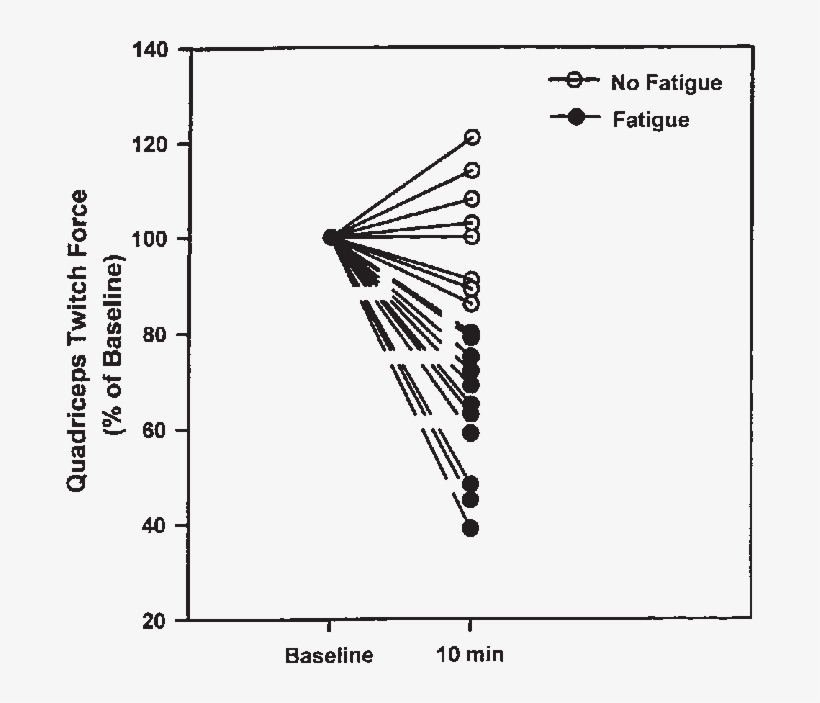 Quadriceps Twitch Force Before And 10 Min After Exercise, transparent png #7326988