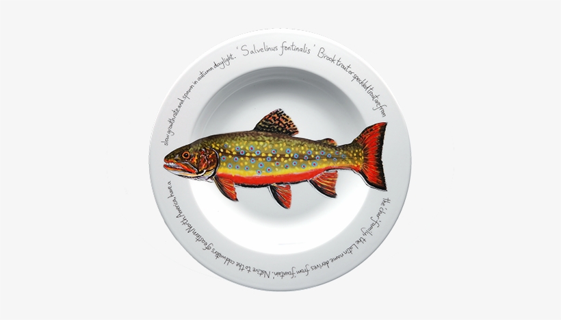 Brook Trout Rimmed Pasta Bowl, transparent png #7329713
