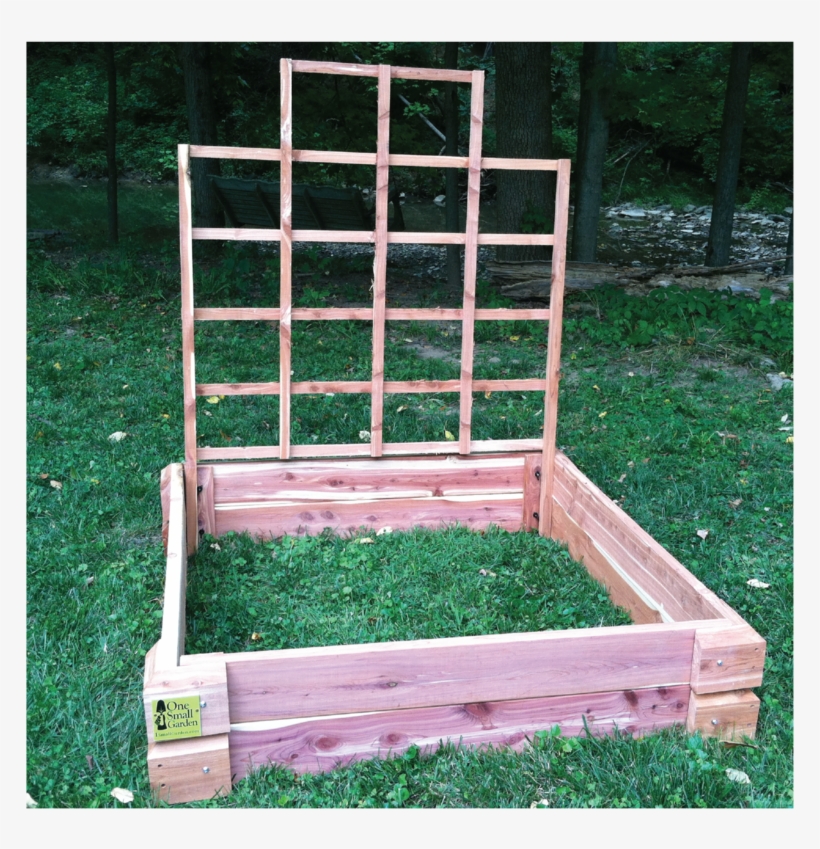 Trellis Pic Front 37, transparent png #7330234