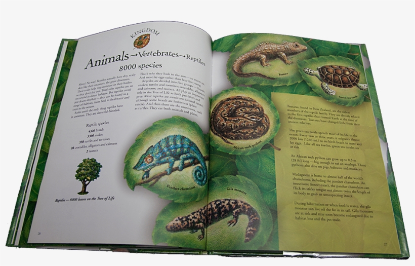 Species Children's Book Review, transparent png #7334853