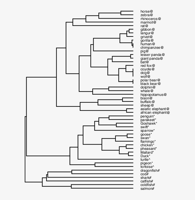 Phylogenetic Tree Of 50 Beta-globin Proteins Constructed, transparent png #7337632