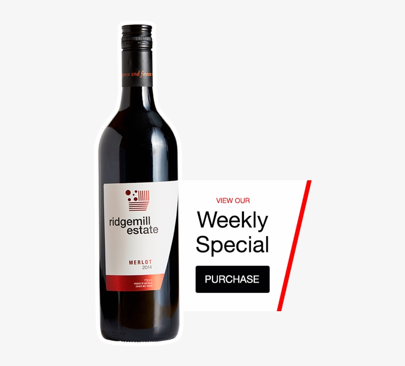 Michelle Feenan-cooper, Owner Lover Of Learning, Queensland, transparent png #7337635