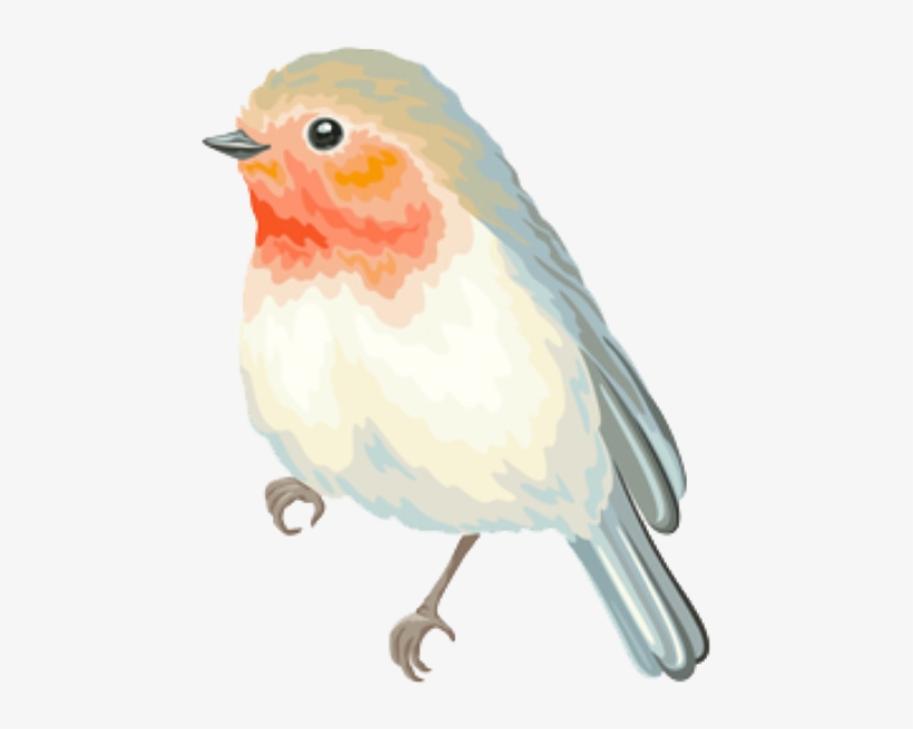 Bird Cute Animo Pastel Spring Png Overlay Edits Edit, transparent png #7338215