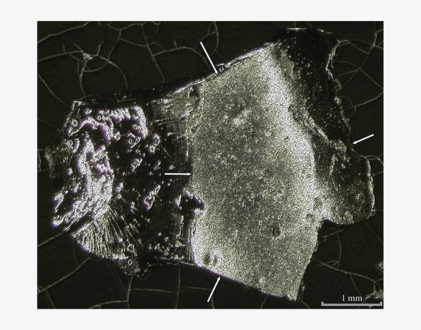 Fractured Surface Of An Irghizite Fragment, transparent png #7338340
