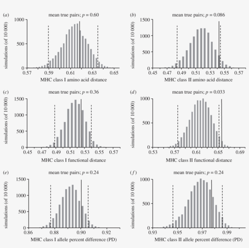Distribution Of Mean Mhc Phylogenetic Distance, Pbr, transparent png #7340172
