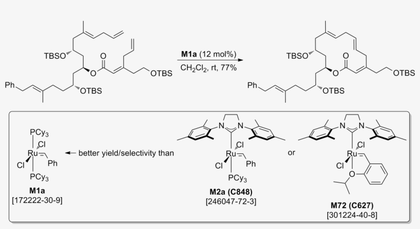 Florian Glaus, Darija Dedic, Priyanka Tare, Valakunja, transparent png #7340390