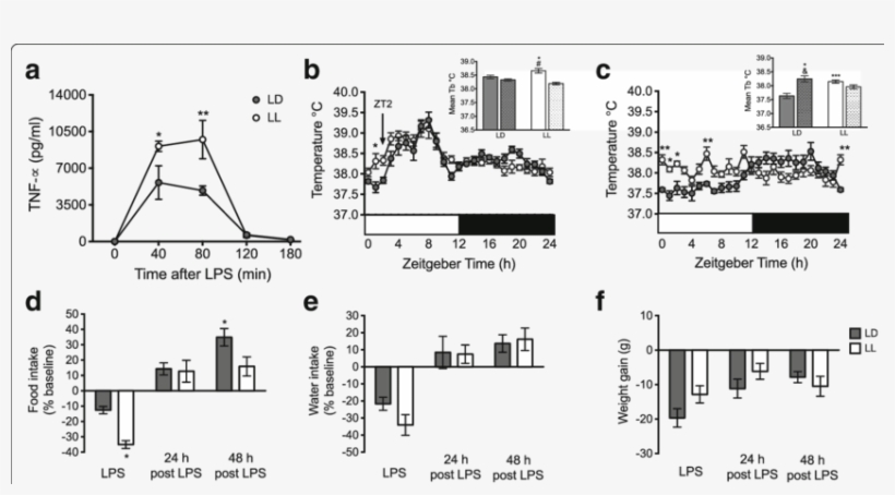 Ll Rats Produced More Tnf Α And Showed Increased Sickness, transparent png #7340508