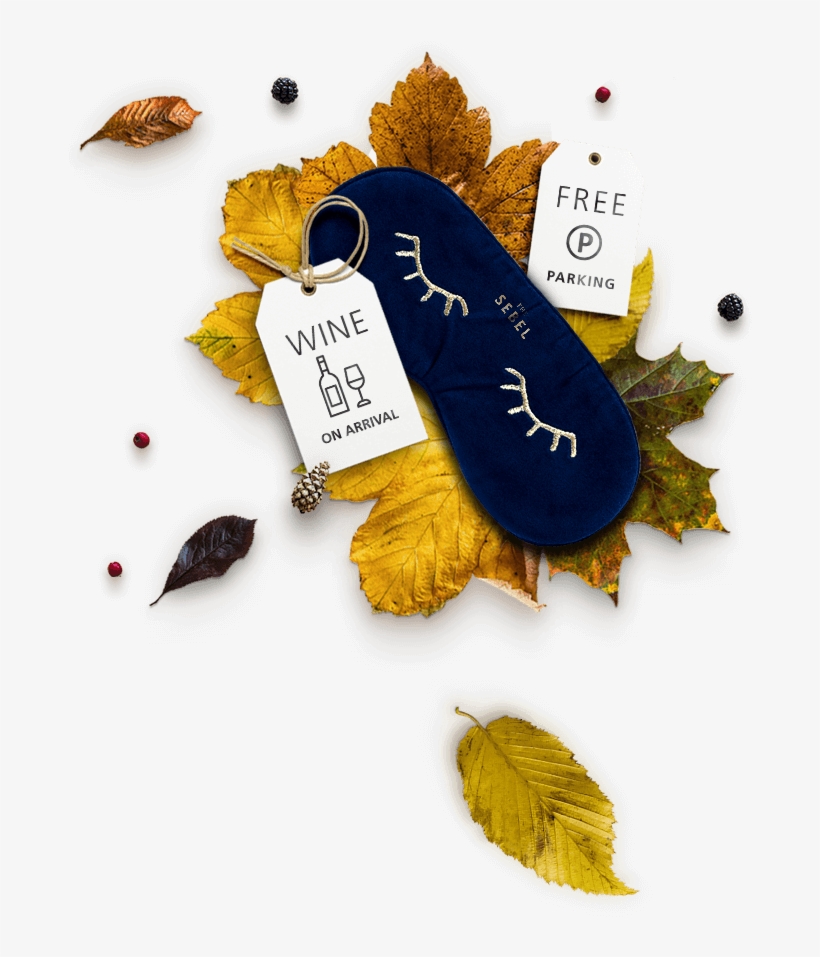 We've Fallen For Sebel, transparent png #7341023