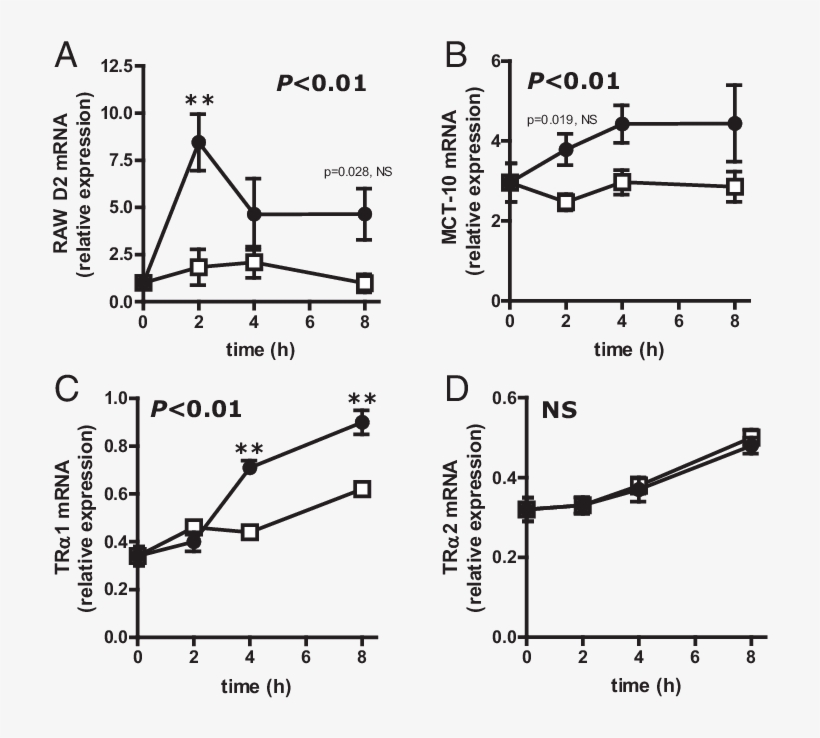 Relative Expression In Raw264, transparent png #7341831