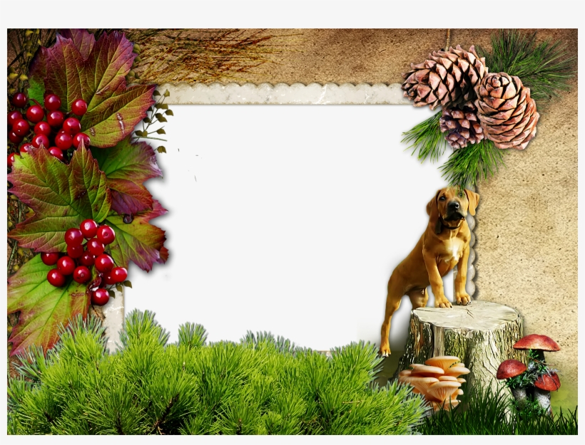 Imagenes De Naturaleza En Png Para Fondo De Pantalla, transparent png #7342113