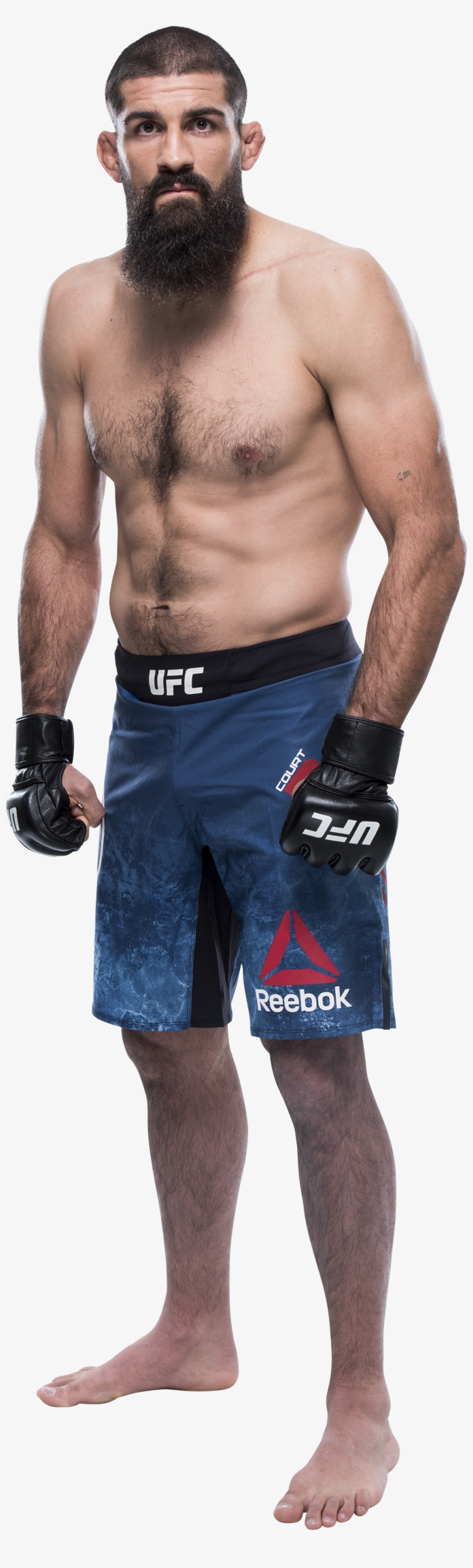 Ufc Belt Png, transparent png #7342674