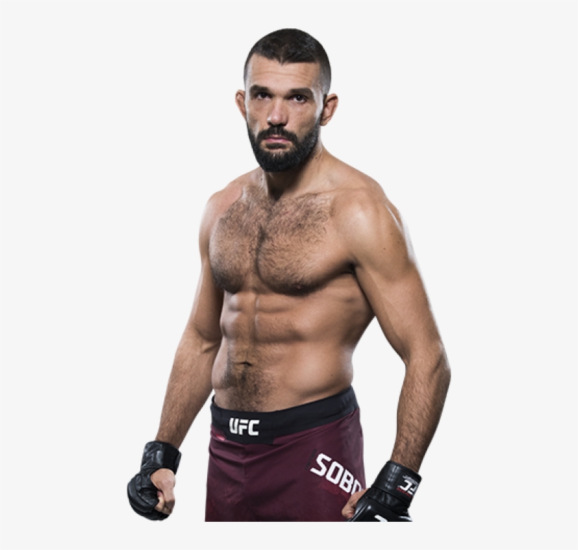Biography, transparent png #7342787