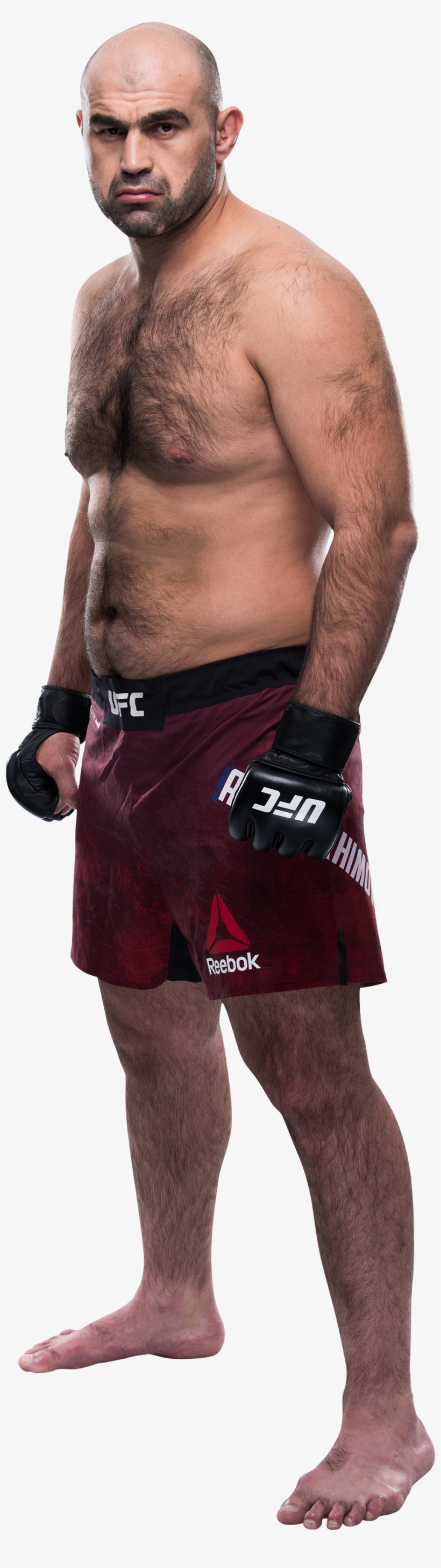 Ufc Belt Png, transparent png #7342907