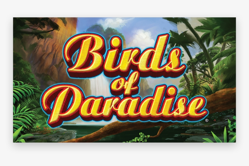 Birds Of Paradise®, transparent png #7345426
