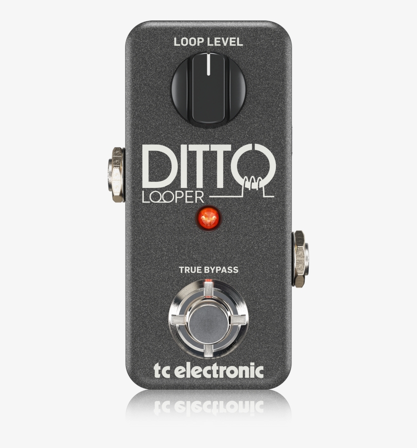 Tc Electronic Ditto Looper Highly Intuitive Looper, transparent png #7348914
