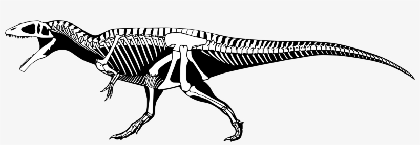 I Based The Reconstruction On This Drawing Of The Indominus, transparent png #7349236