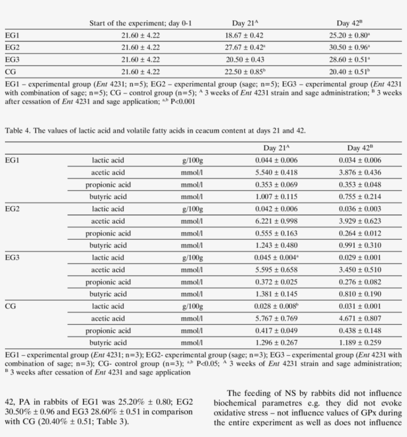 Phagocytic Activity During Experiment In Rabbits, transparent png #7354552