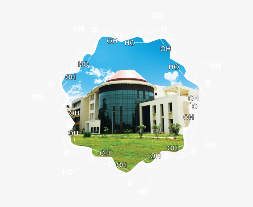 Oh Png, transparent png #7363181