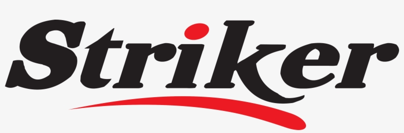 Cbse Sample Question Papers Key To Success, transparent png #7365475