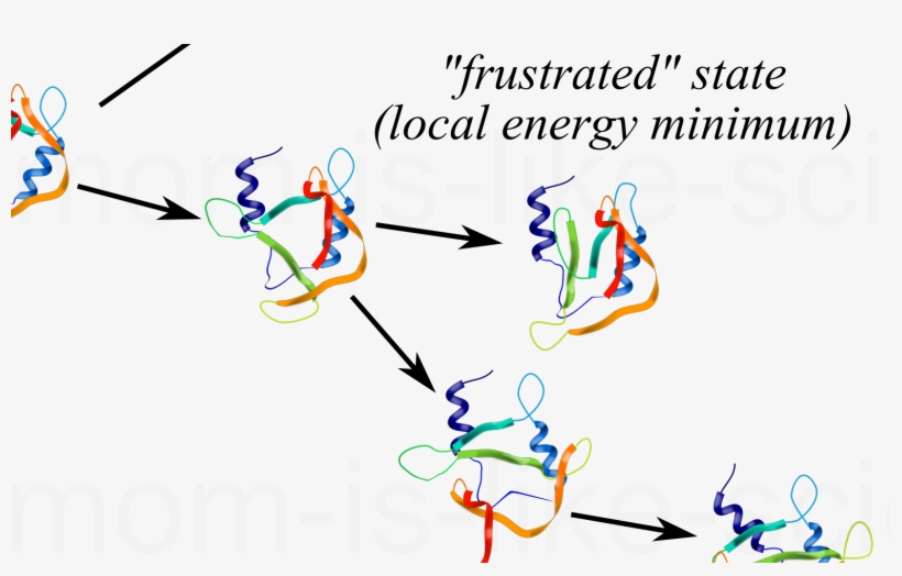 Your Mom Is Like A Protein Folding Intermediate, transparent png #7365777