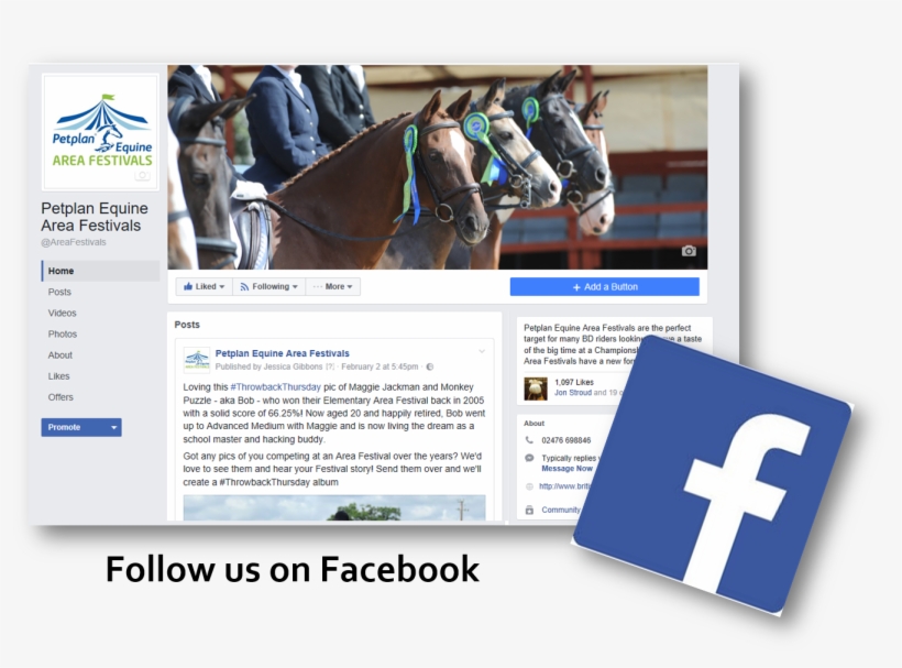 Petplan Equine Area Festivals Are The Perfect Target, transparent png #7366132