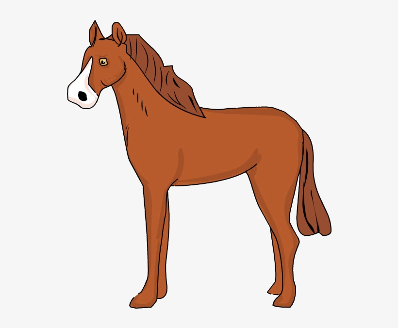 Caballo, transparent png #7367849