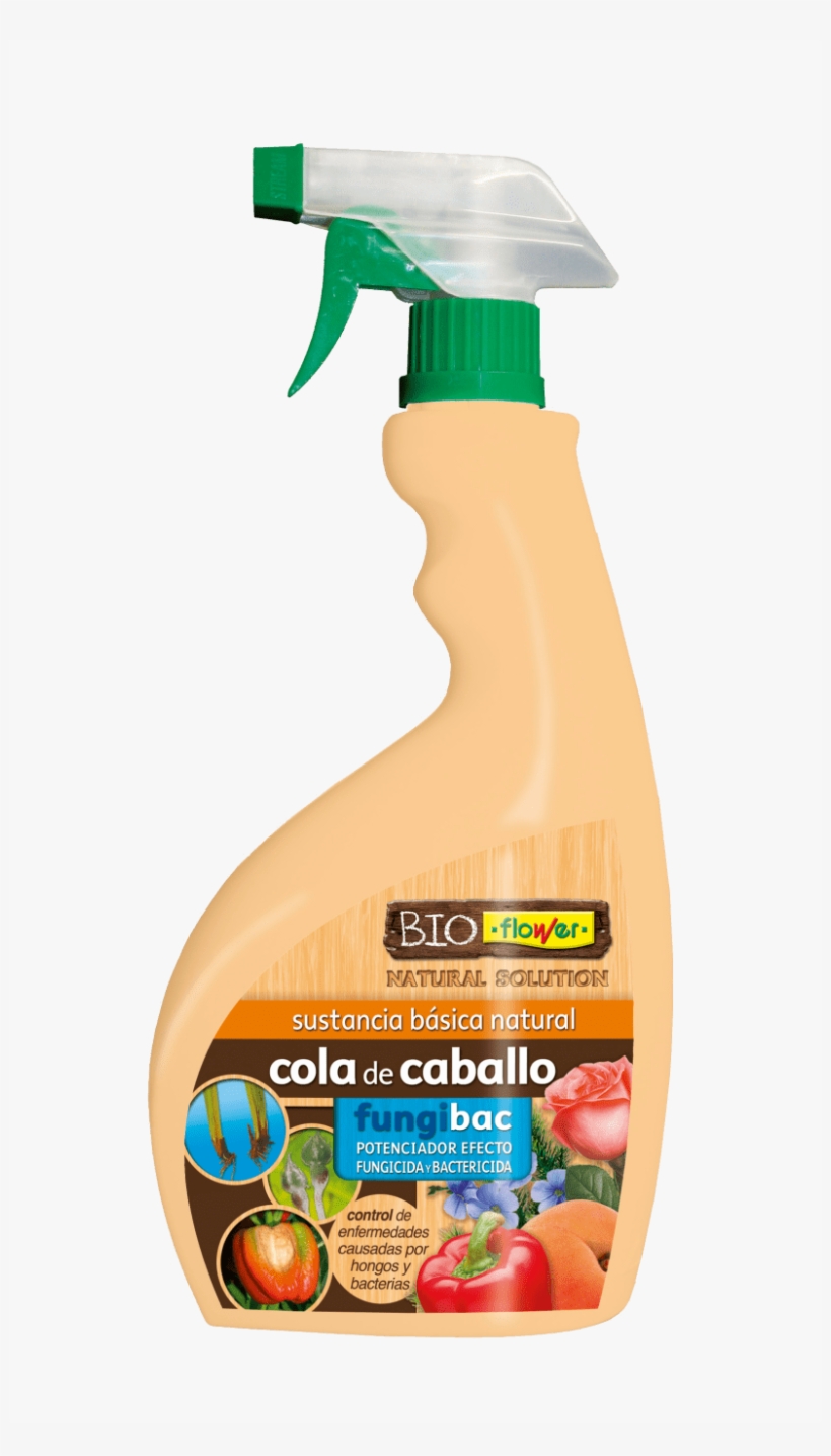 Cola De Caballo Listo Uso, transparent png #7368192