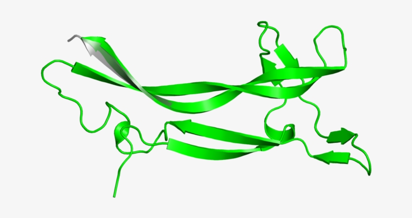 Knot Png, transparent png #7370333