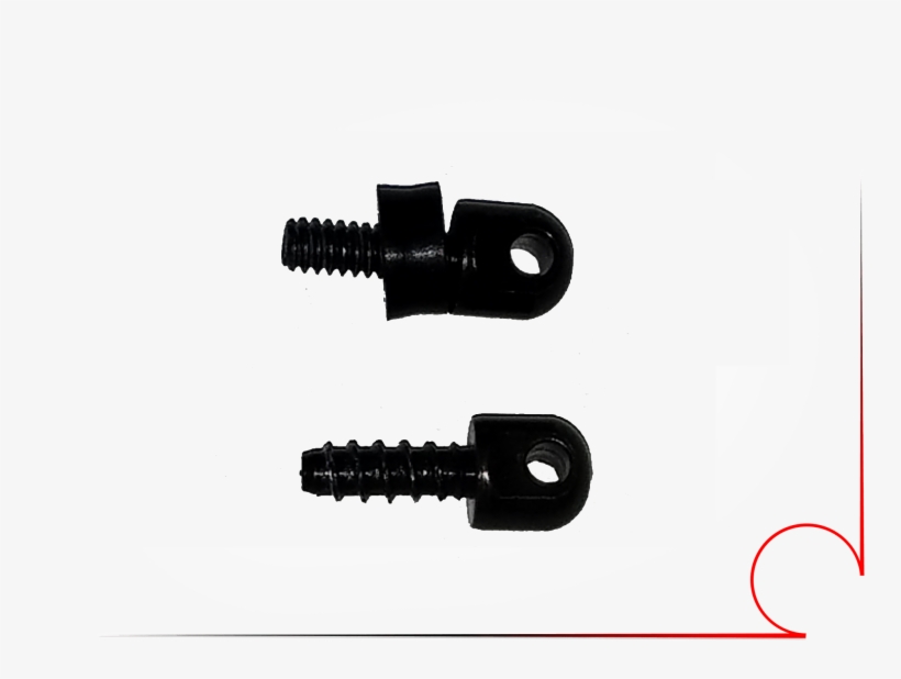 The Young Scientist Club Magic School Bus Secrets Of, transparent png #7372974