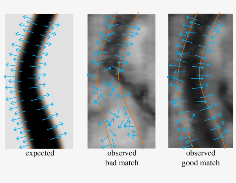 Illustration Of Likelihood Computation And The Partial, transparent png #7378195