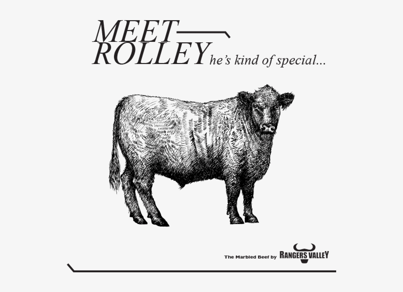 Rolley Is Pure Black Angus, Black Onyx Beef, transparent png #7378733
