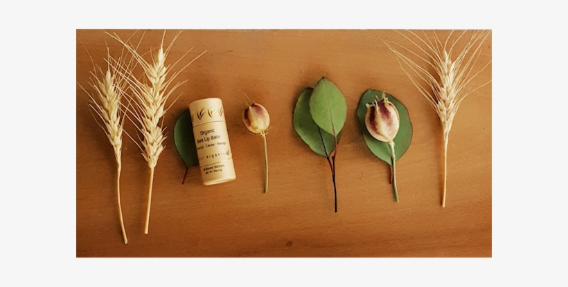 River Organics Is An Independent Beauty Company That, transparent png #7379402