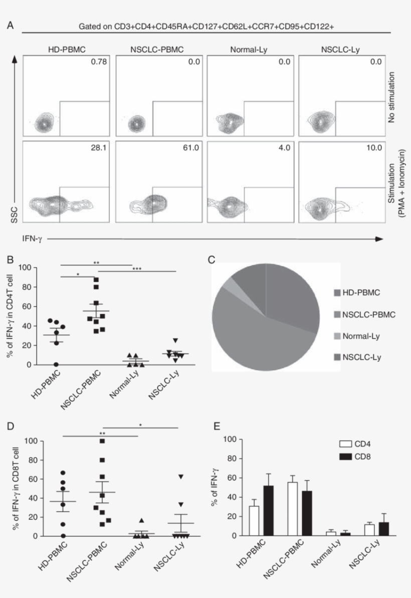 Hd Pbmcs , Non Small Cell Lung Cancer (nsclc) Pbmcs, transparent png #7381598