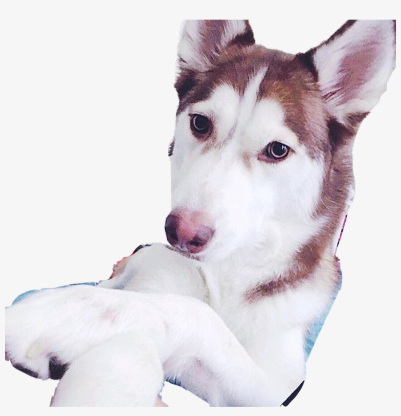 Yuna Png, transparent png #7381990