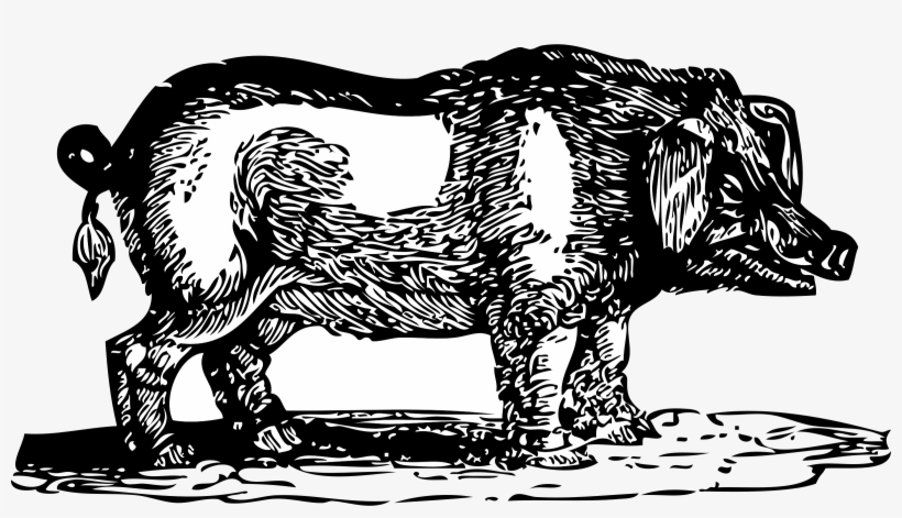 Big Image, transparent png #7383394