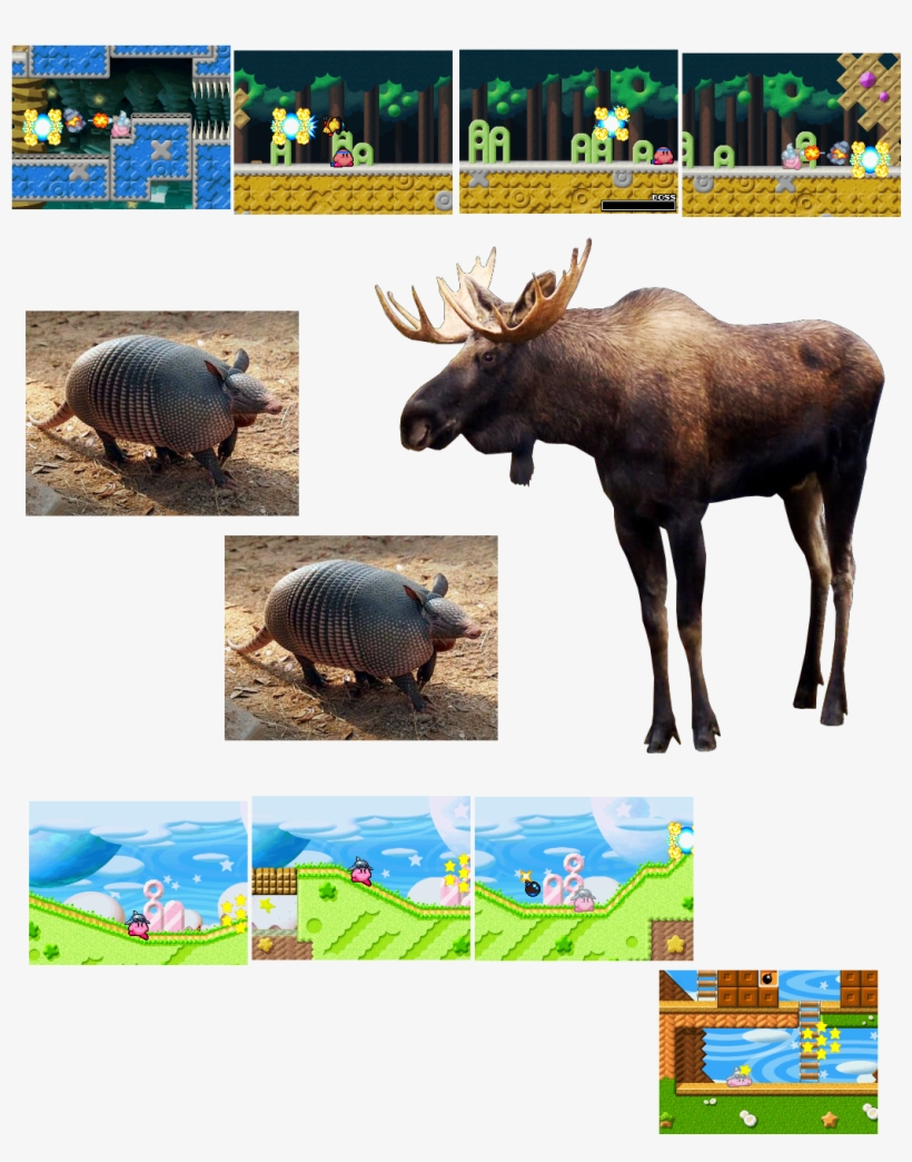 20180910 Nine-banded Armadillo, Moose, Animals Get, transparent png #7386411