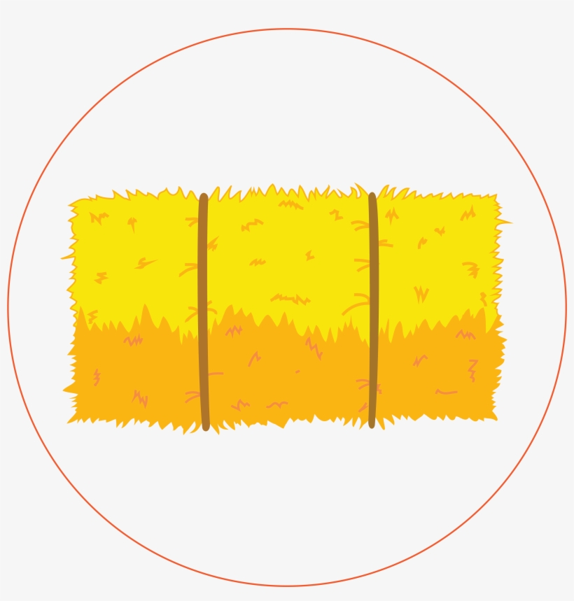 Burley Straw Maze And Pumpkin Patch Burley 500 S 845, transparent png #7387595