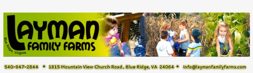 Pick Your Own Pumpkin Patch, transparent png #7387872