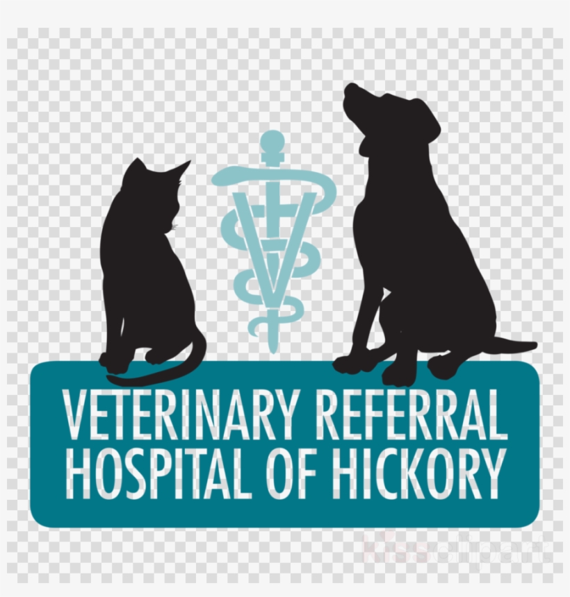 Veterinary Medicine Clipart Cat Dog Veterinary Referral Free