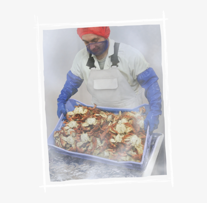 Our Facilities Are Haccp Accredited And We Continue, transparent png #7389419
