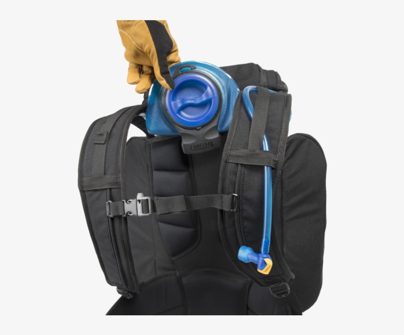Lifesaver Png, transparent png #7390954