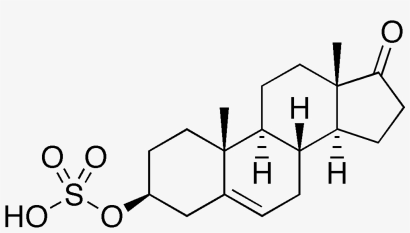 Steroids Png, transparent png #7391057