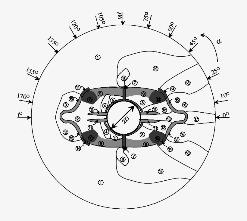 The Regions Marked By Shadows Are Multistable Flow, transparent png #7392549